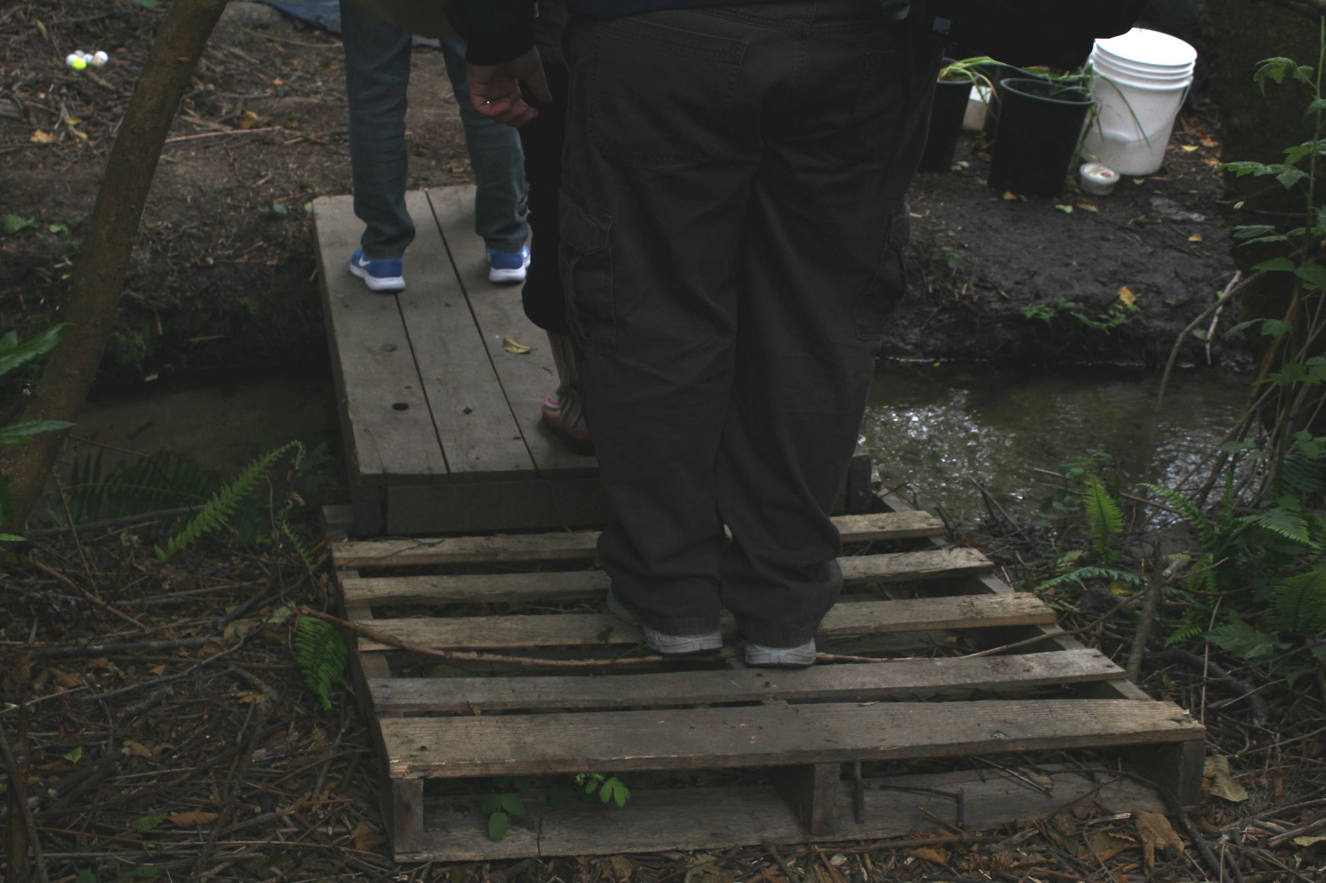 Central Avenue Camp #1